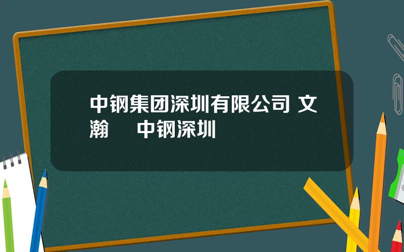 中钢集团深圳有限公司 文瀚旻 中钢深圳